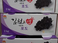 이미지 대체문구를 입력하세요