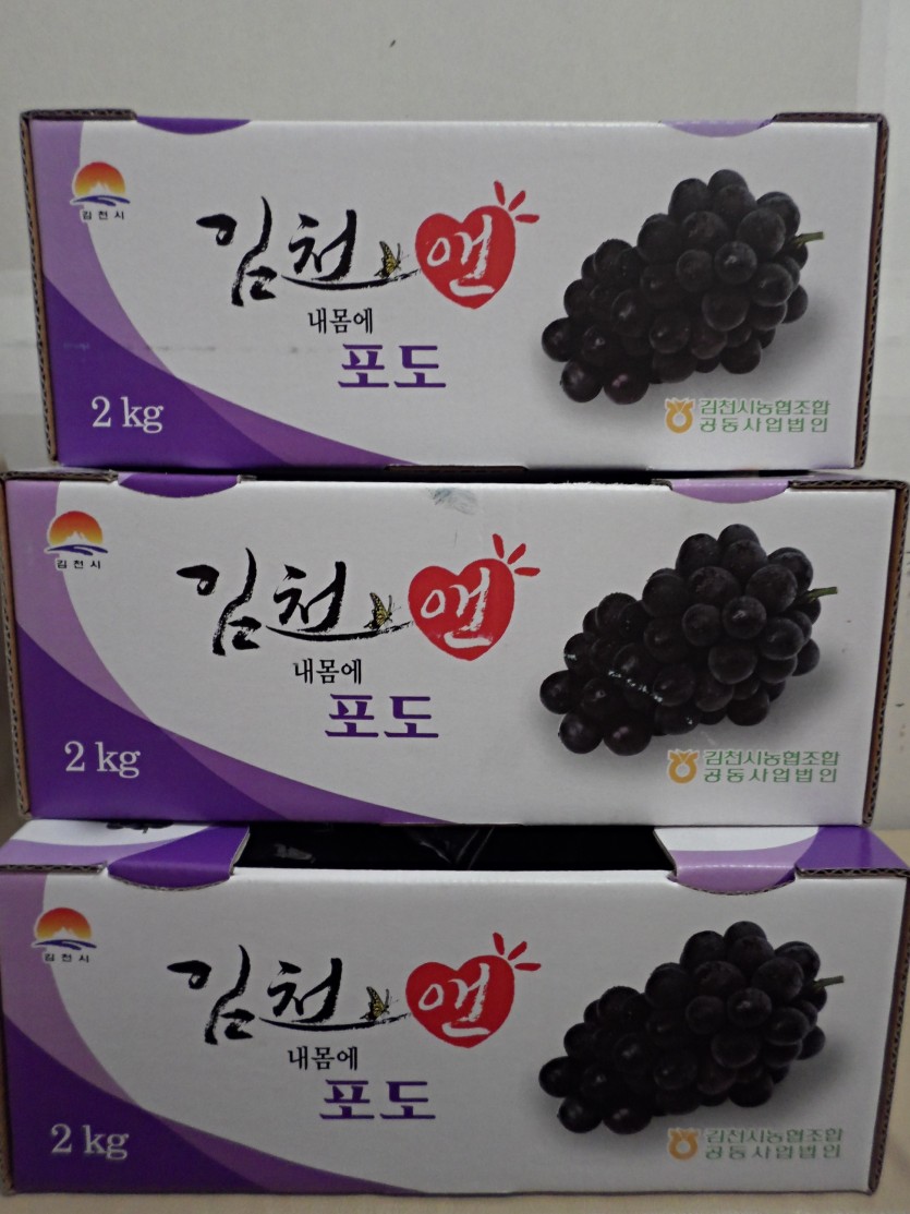 이미지 대체문구를 입력하세요