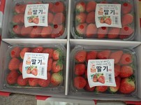 이미지 대체문구를 입력하세요