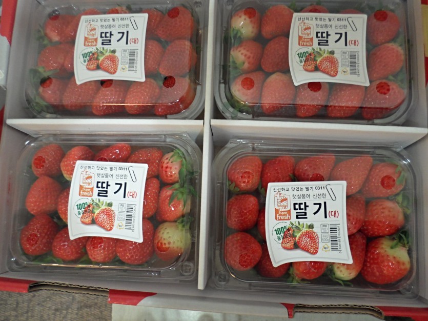 이미지 대체문구를 입력하세요