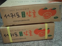 이미지 대체문구를 입력하세요