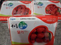 이미지 대체문구를 입력하세요