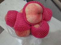 이미지 대체문구를 입력하세요
