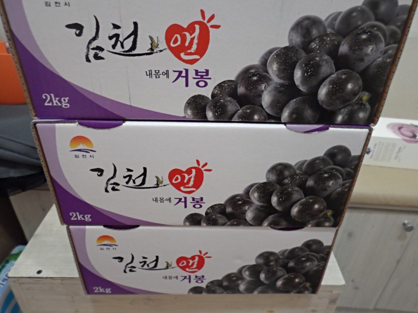 이미지 대체문구를 입력하세요