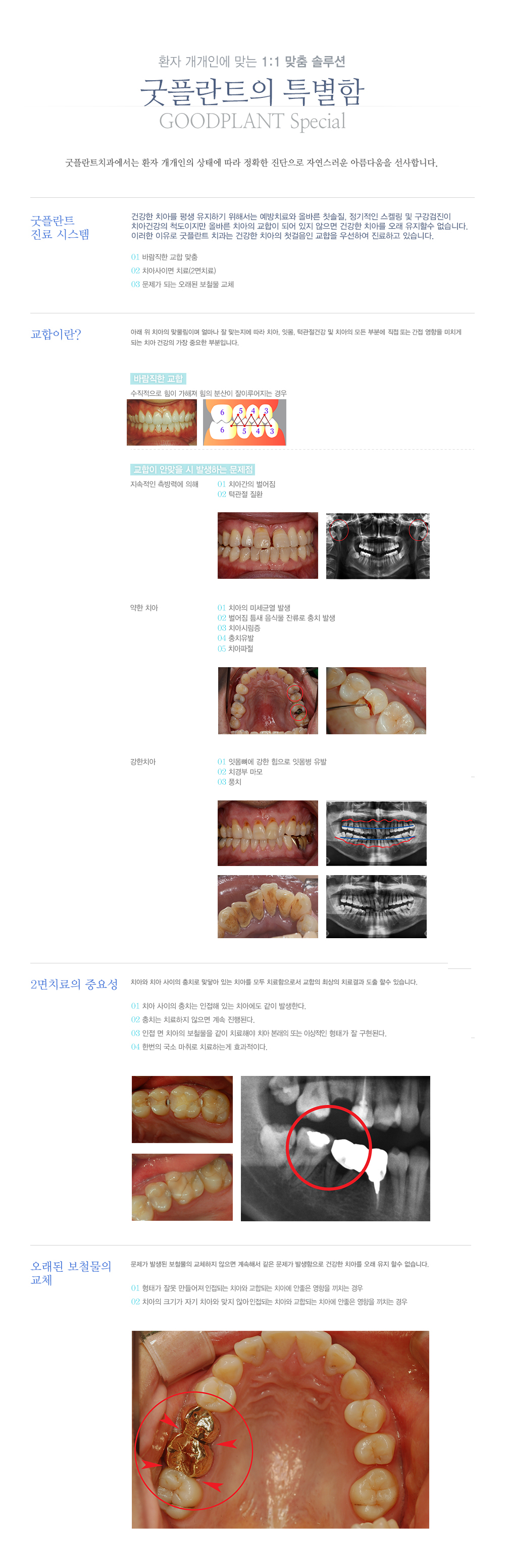 굿플란트의특별함